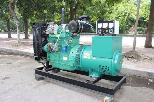 玉树发电机不发电的原因